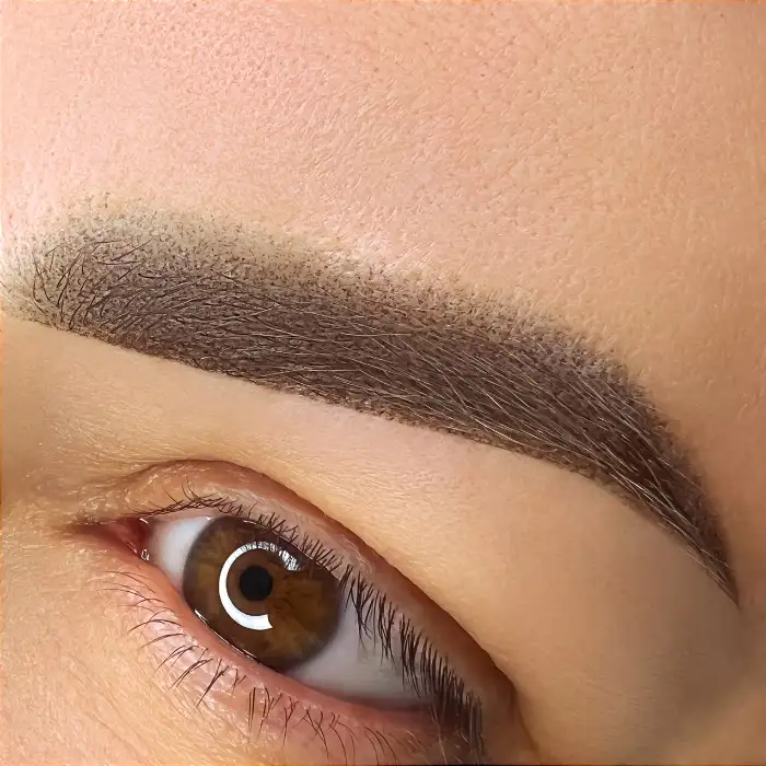 powderbrows